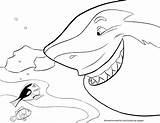 Coloring Pages Shark Boy Getdrawings sketch template