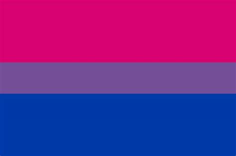 Bisexual Flag Bi Pride Gay Pride Medium Hand Flag