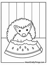 Hedgehog Coloring Iheartcraftythings sketch template