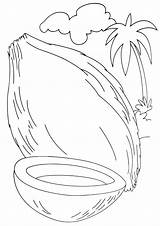 Coconut Coloring Pages sketch template