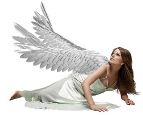 photobucket victoria secret wings angel wings costume the fallen
