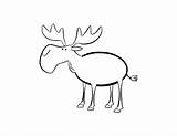 Moose Coloring Pages Drawing Kids Elk Popular sketch template