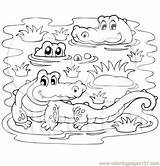 Swamp Crocodiles Alligator Crocodile Sheets Vbs Dock Visekart Bible Clipartof Getcolorings sketch template