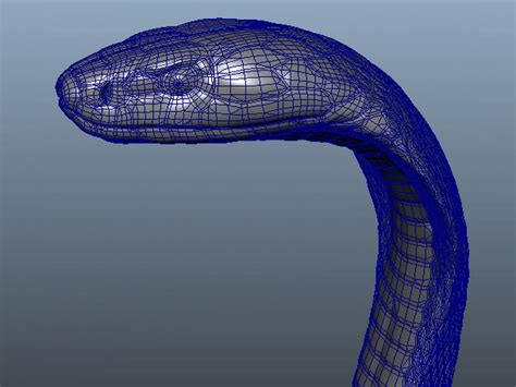cobra snake  model object files   modeling   cadnav