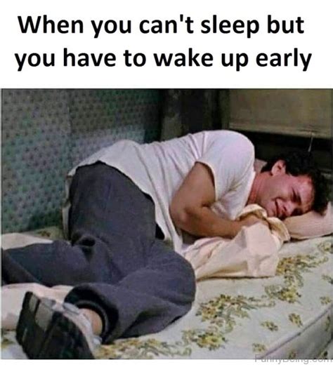 79 brilliant sleep memes