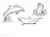 Delfini Colorat Dolphin Delfin Planse Malvorlage Sfatulmamicilor Dolfijn Frumosi Trei Dieren sketch template