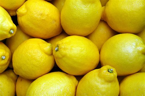 citron  gr bioceno
