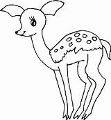 Deer Coloring Baby Pages Clipart Cute Drawing Kids Printable Colouring Forest Getdrawings Popular Library Coloringhome sketch template