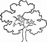 Tree Oak Coloring Outline Clipartist Info Vector sketch template