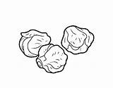 Sprouts Brussels Coloring Coloringcrew sketch template