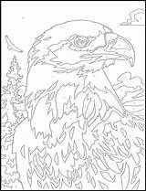 Number Color Coloring Adult Pages Adults Numbers Paint Printable Dover Bird Animal Wildlife Printables Publications 塗り絵 Book Books Colouring Eagle sketch template