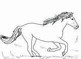 Coloring Pages Dressage Horse Getcolorings Horses sketch template