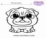 Squinkies Coloring Pages Dog Cute Online sketch template