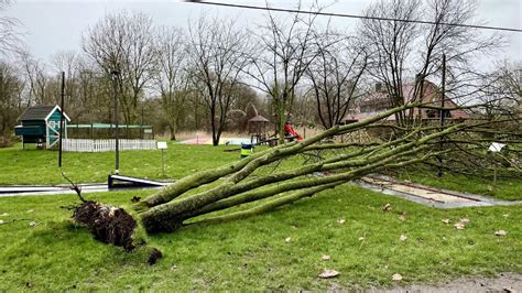 storm corrie omgevallen bomen en losgewaaide zonnepanelen studio alphen