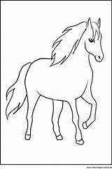 Pferd Pferde Malvorlagen Malen Fabelhaft Malvorlage Pferdekopf Hervorragen Steckenpferd Windowcolor Steigendes Gubik Caballos Herunterladen Ponys Sencillos sketch template
