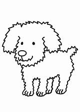 Hund Kleurplaat Hond Coloring Malvorlage Kleurplaten Printen Immagine sketch template