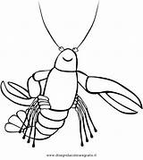 Crawfish Udang Gamberetto Boil البحر Gambero Koozies Crayfish Ganson Terbaik تلوين Langostas Langusten Openclipart I2clipart sketch template