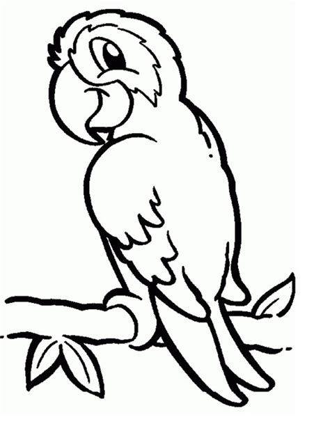 related image bird coloring pages animal coloring pages