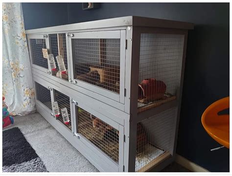 tier indoor guinea pig enclosure rabbit hutch world