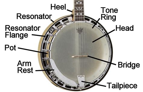 parts   banjo diagram wiring diagram