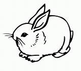Rabbit Bunny Coloring Template Cute Pages Templates Rabbits Print Colouring Drawing Bunnies Shape Printable Easter Holding Color Adults Activities Crafts sketch template