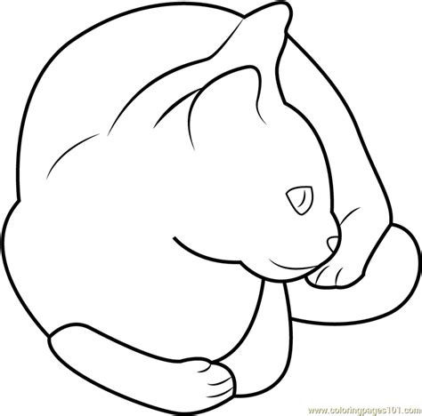 pet cat sitting coloring page  cat coloring pages