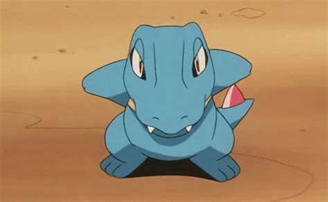 Totodile S Find And Share On Giphy