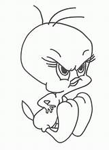 Tweety Coloring Bird Pages Printable Angry Kids sketch template