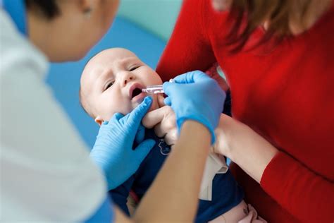 jadwal imunisasi lengkap khusus  bayi  anak anak