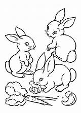 Colorare Conigli Disegni Coniglio Einhorn Hase Neu Malvorlage Pianetabambini Ausmalbilder Genial Colouring Rabbits Hasen Kinder Versione sketch template