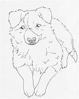 Collie Border Coloring Outline Deviantart Pages Line Cliparts Outlines Little Clipart Drawings Designlooter Library 96kb Favorites Add sketch template
