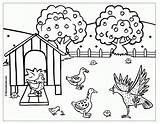 Coloriage Poule Hen Mewarnai Ayam Animaux Rousse Bebek Coloriages Dinde Fowl Guinea Oie Buzz2000 Dessins Ternak Kelinci sketch template