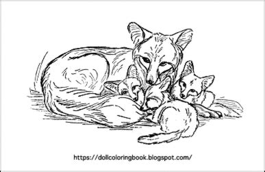 red fox families  doll coloring book