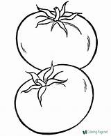Tomatoes sketch template