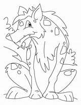 Jackal Pages Coloring Colouring Printable Preschool Animals Cunning Coyote Getcolorings Kids Color sketch template