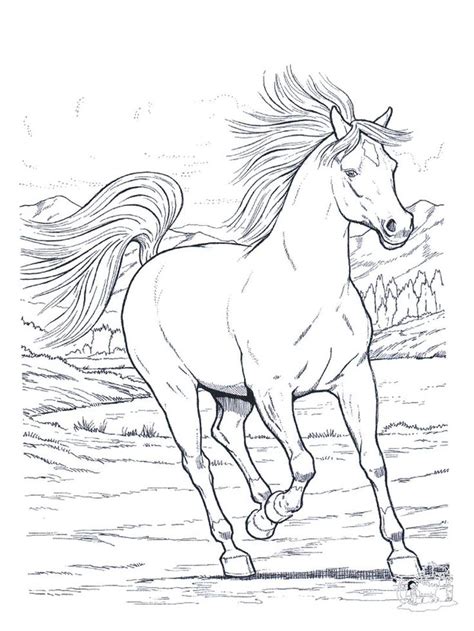 horse coloring pages  kids cool horse coloring pages printable