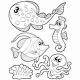 Coloring Marine Surfnetkids Mammals Fish Pages Animals Animal Previous Choose Board sketch template