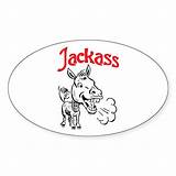 Jackass Decal Stickers Bumper sketch template