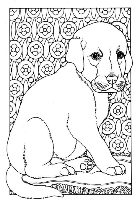 puppyjpg  dog coloring page horse coloring pages animal