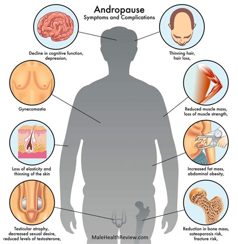 Andropause Causes Symptoms And Treatments Male