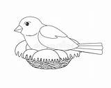 Sparrow Hatches Sits sketch template