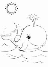 Whale Coloring Cartoon Cute Pages Whales Drawing Printable Da Killer Kids Colorare Colouring Balena Supercoloring Sheets Printables Con Animals Preschool sketch template