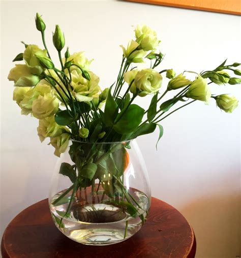 flower vase stones decorative vase ideas