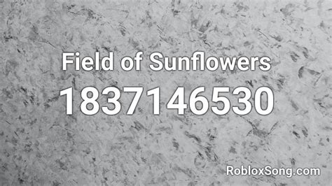 Field Of Sunflowers Roblox Id Roblox Music Codes