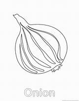 Onion Coloring sketch template