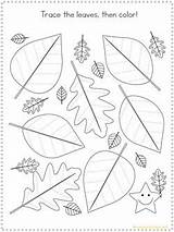 Tracing Fall Autumn Fun Pages Activity Printable Bloglovin sketch template