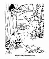 Coloring Pages Earth Sheets Habitats Natural Animal Conservation Activity Habitat Protect Nature Adult Resources Honkingdonkey Biomes Colouring Kids Environment Popular sketch template