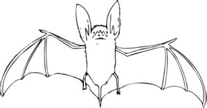 bat outline clip art  clkercom vector clip art  royalty  public domain