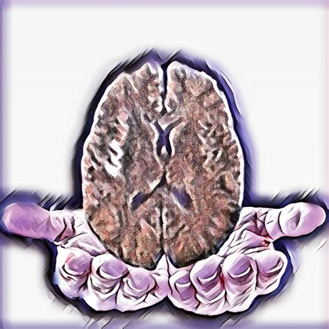 el cerebro web oficial de cerebroestersinh