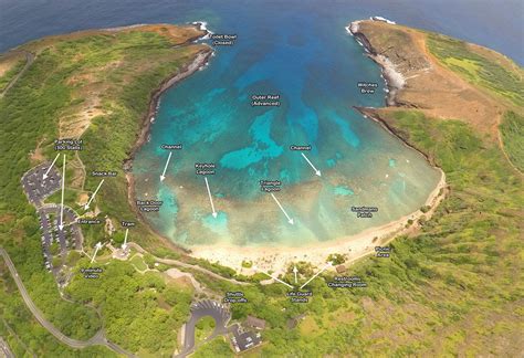 faqs hanauma bay hawaii snorkeling travel guide life simile